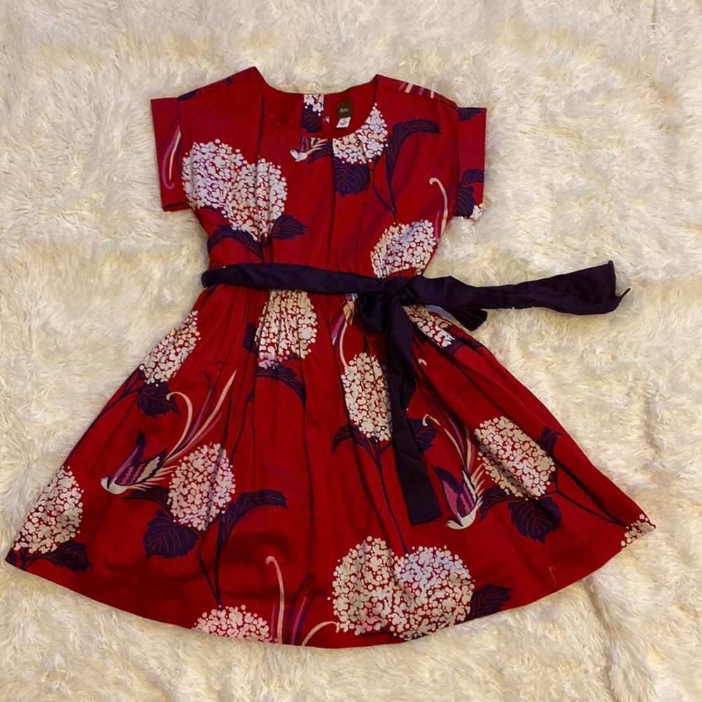 Tea Collection dress